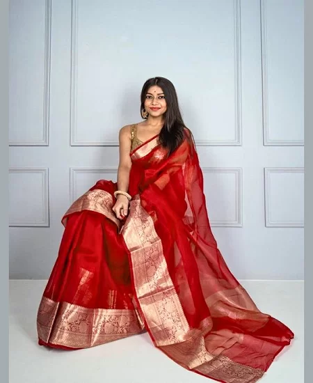 Women's Pure Organza Banarasi Silk Saree...