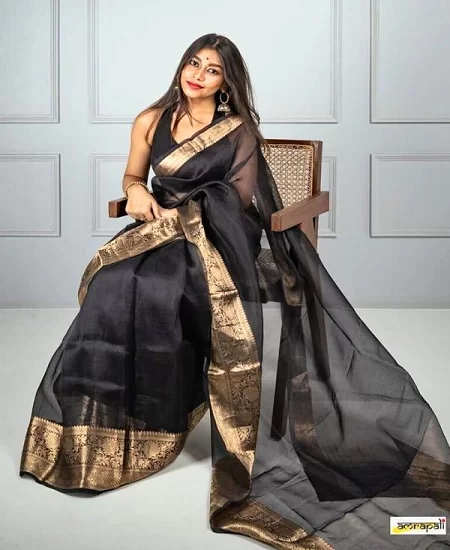 Women's Pure Organza Banarasi Silk Saree...
