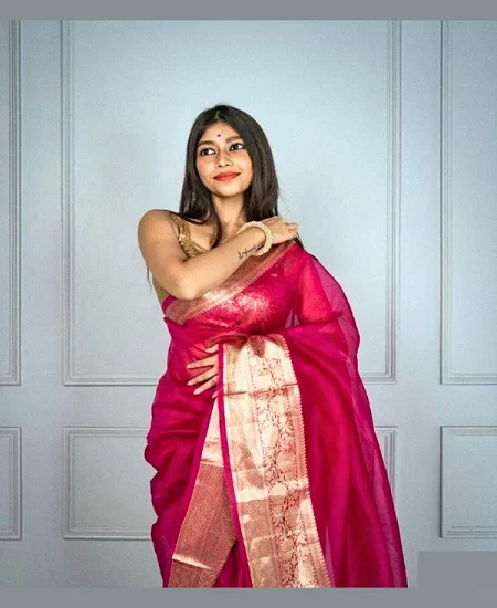 Women's Pure Organza Banarasi Silk Saree...