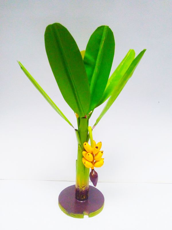 Banana Tree Handicrafts Top Products