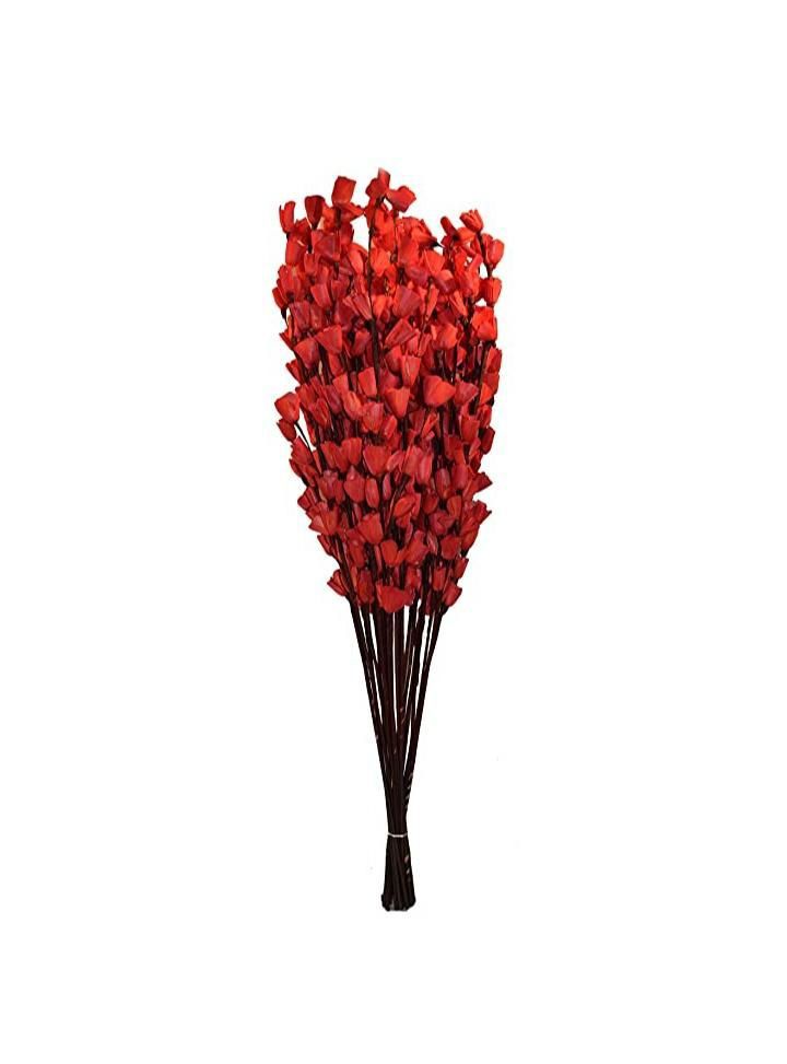Dry flowers Top Products