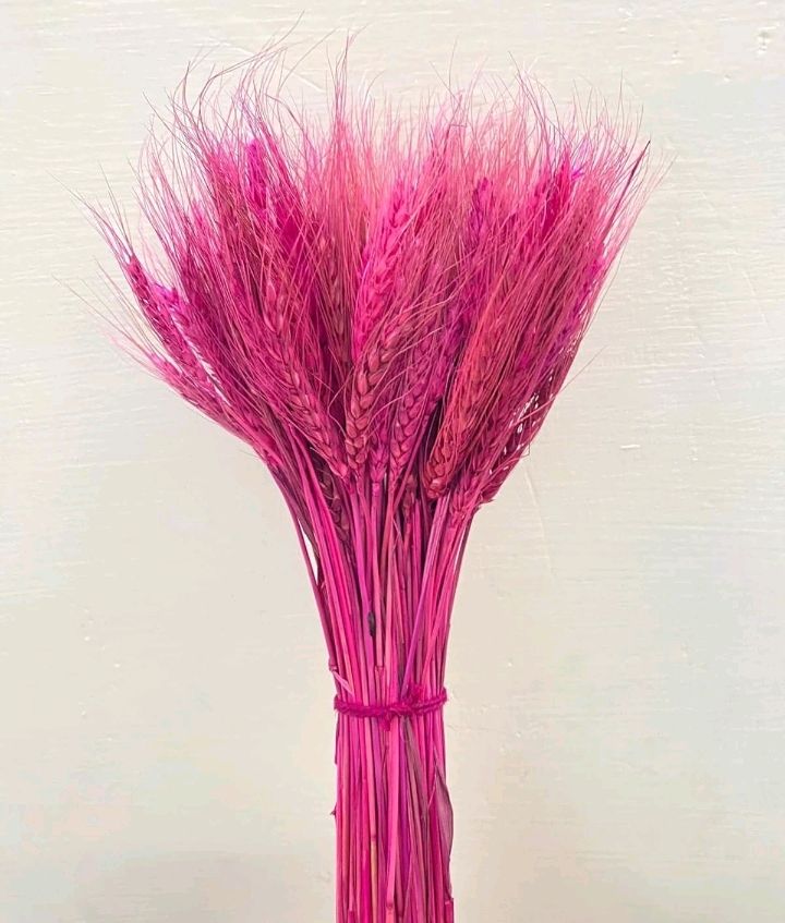 Nataral Dy Flowers 100 Sitck Artificial...