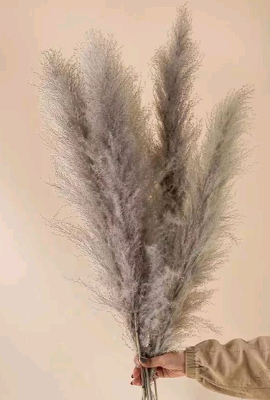 Nataral Dry Flowers 10 Sitck Home Decora...