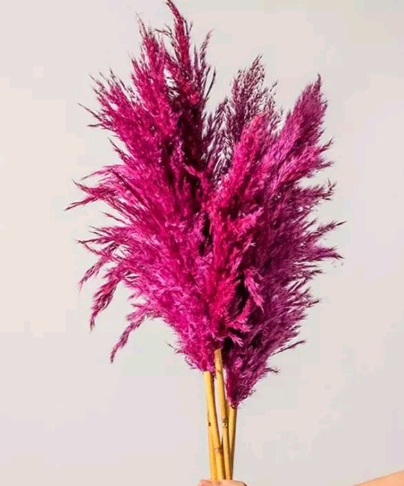 Artificial Dry Flowers 10 Sitck Home Dec...