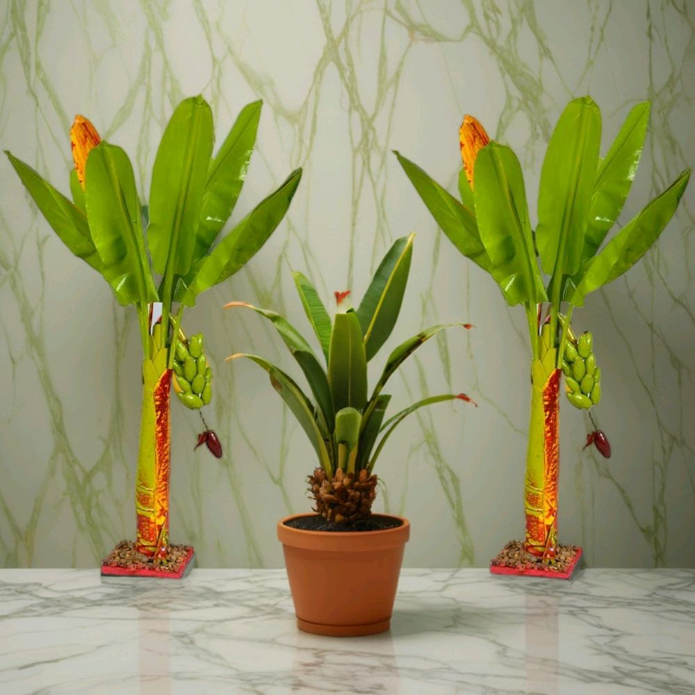 Artificial Banana Tree 2 Ft Home DecorHa...