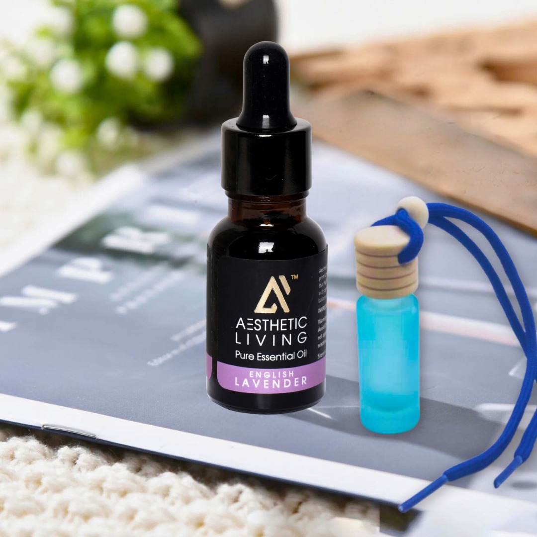 Aesthetic Living Car Aromatizer/ Diffuse...