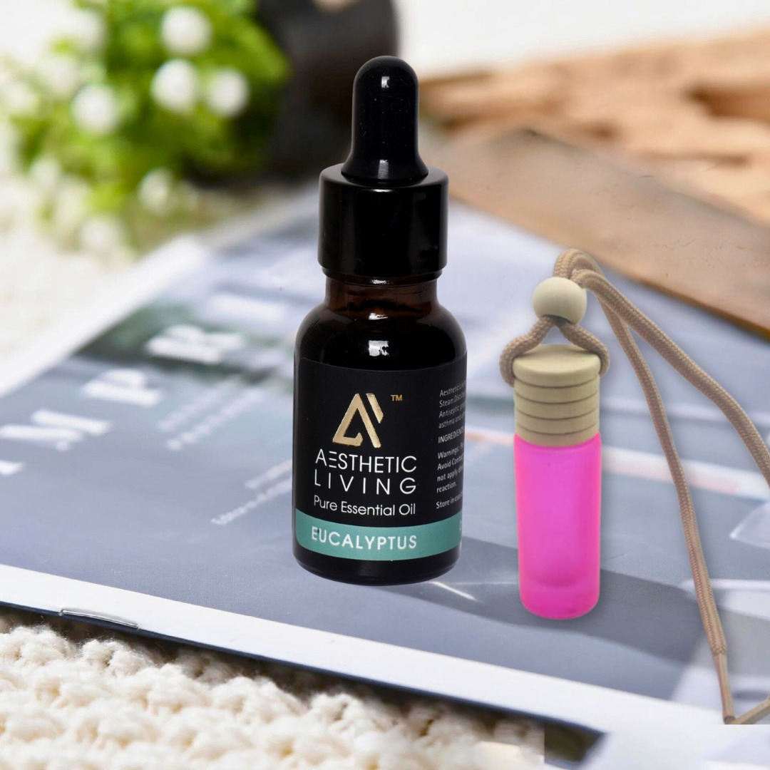 Aesthetic Living Car Aromatizer/ Diffuse...