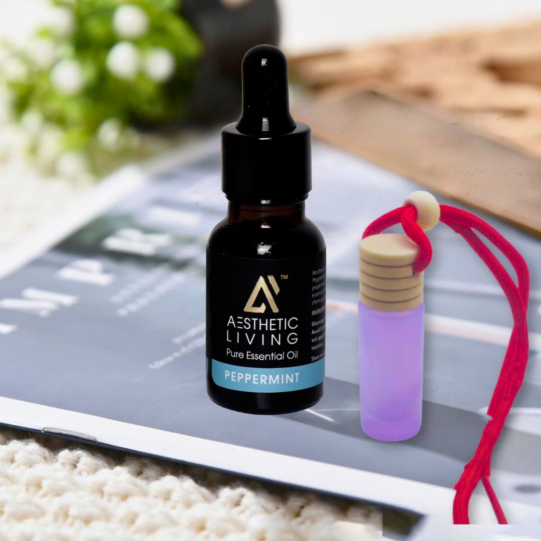 Aesthetic Living Car Aromatizer/ Diffuse...