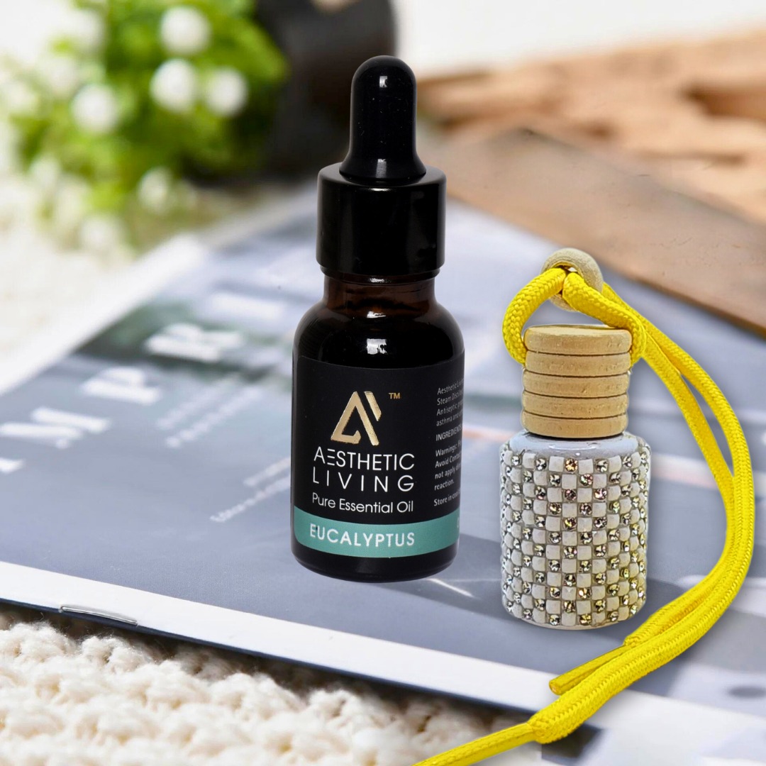 Aesthetic Living Car Aromatizer Diffuser...