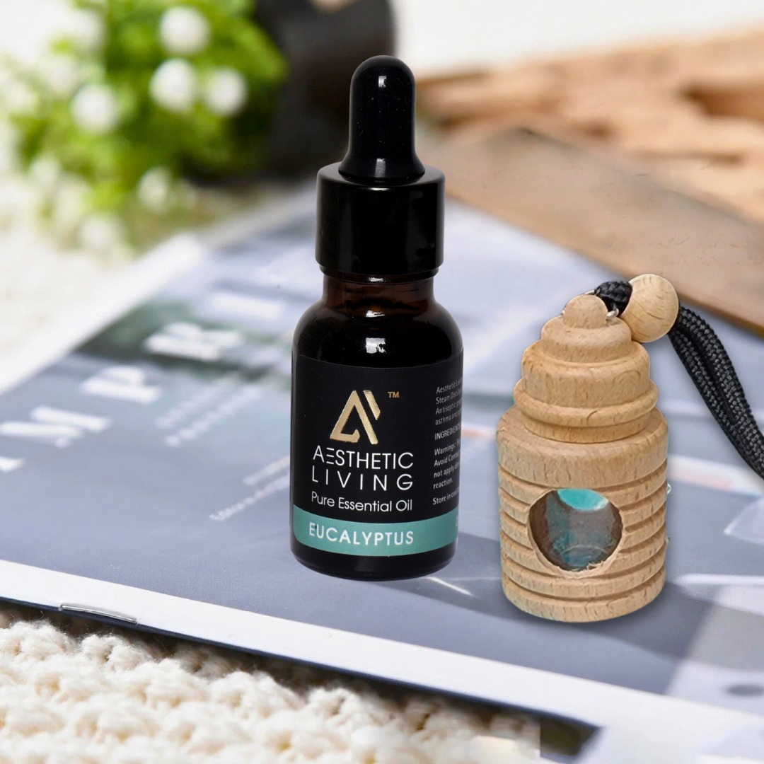 Aesthetic Living Car Aromatizer Diffuser...