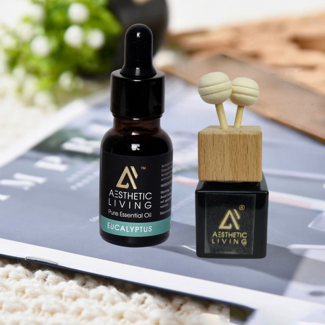 Aesthetic Living Reed Pods Car Aromatize...