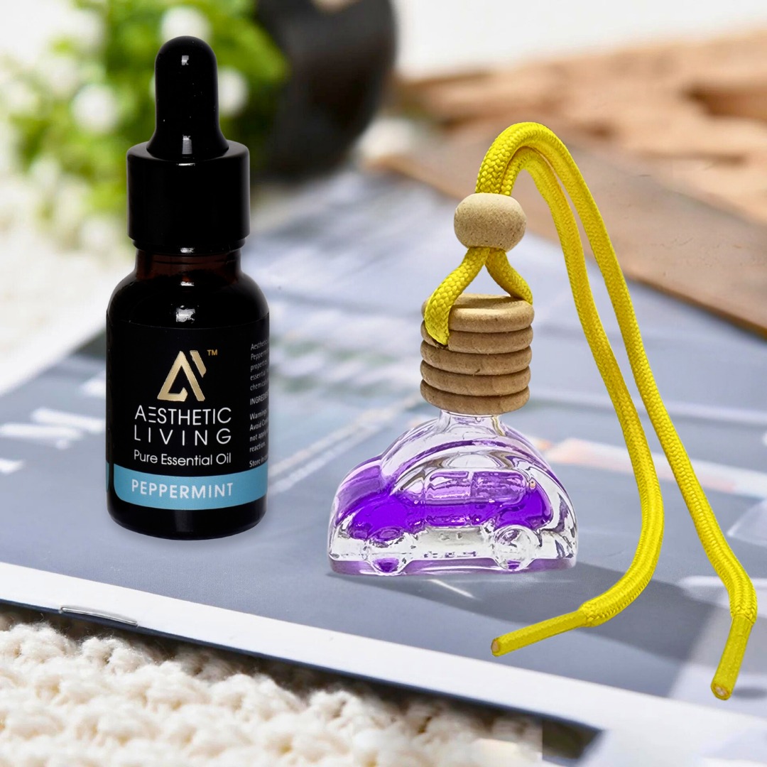Aesthetic Living Car Aromatizer Diffuser...