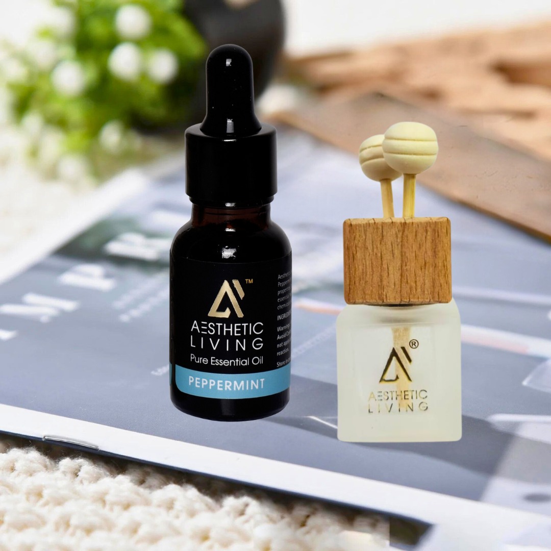 Aesthetic Living Reed Pods Car Aromatize...