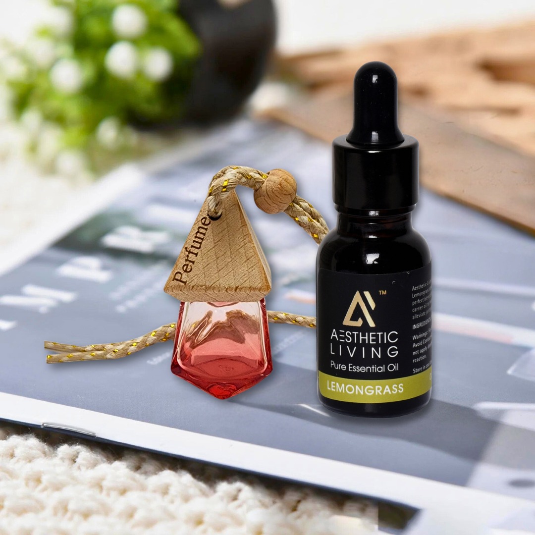 Aesthetic Living Car Aromatizer Diffuser...