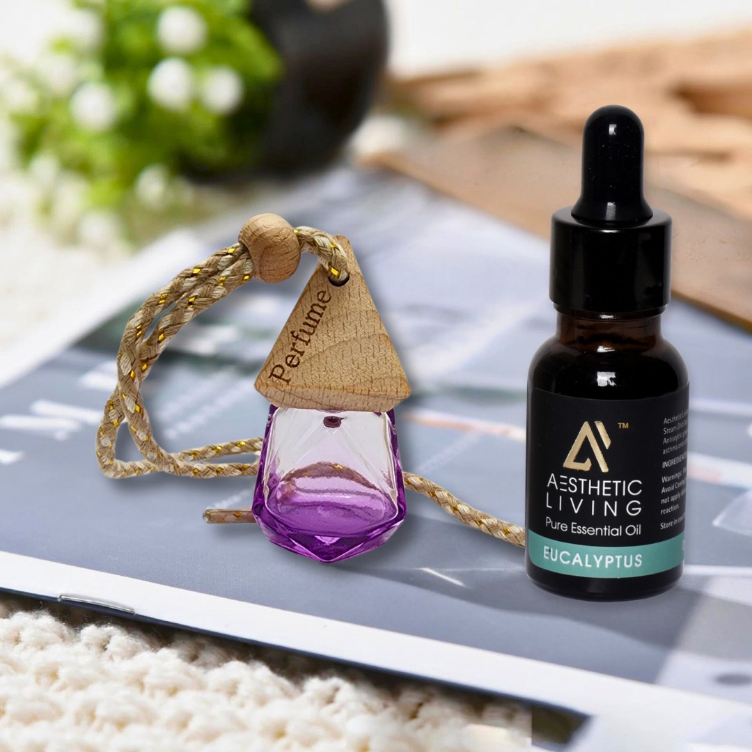 Aesthetic Living Car Aromatizer Diffuser...