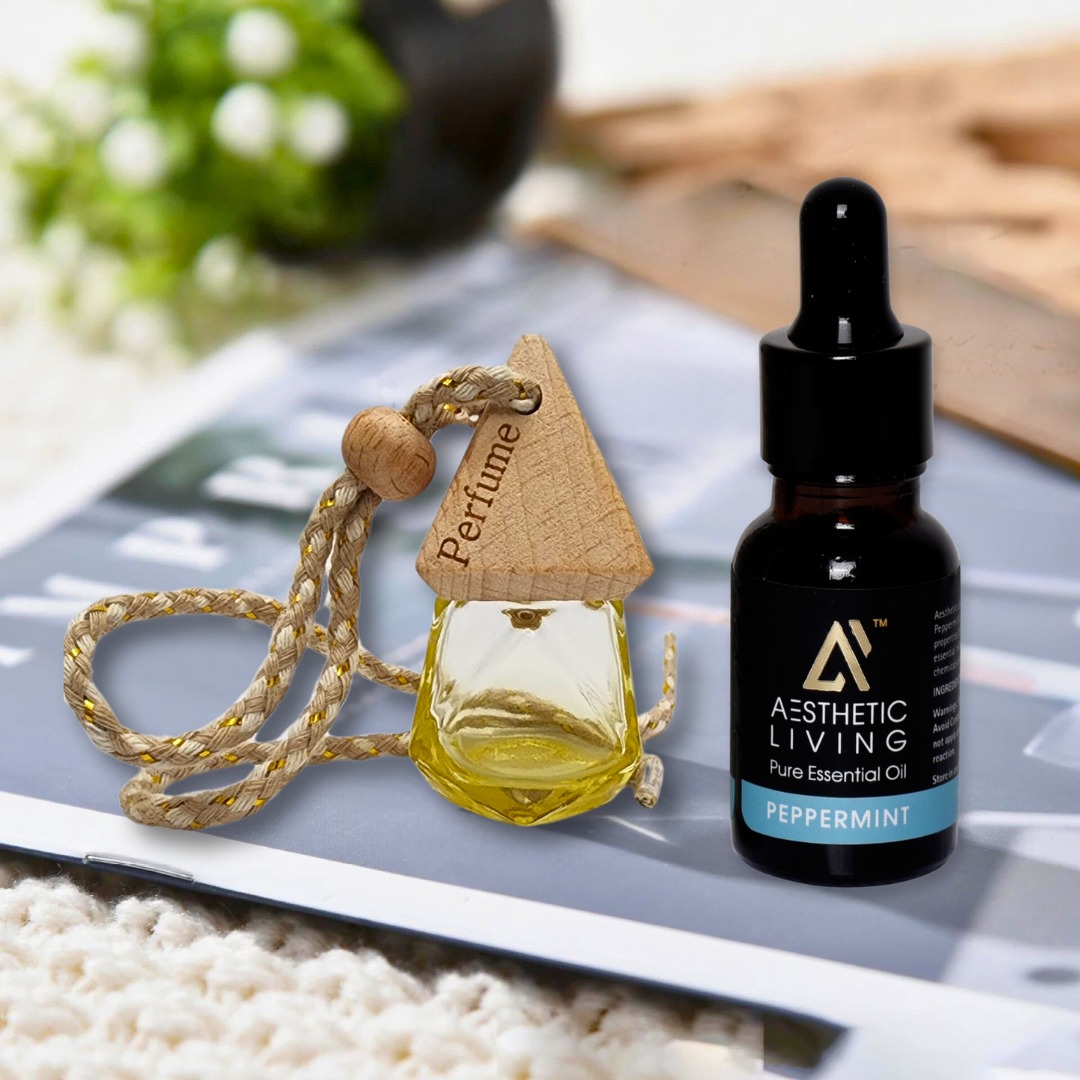 Aesthetic Living Car Aromatizer Diffuser...