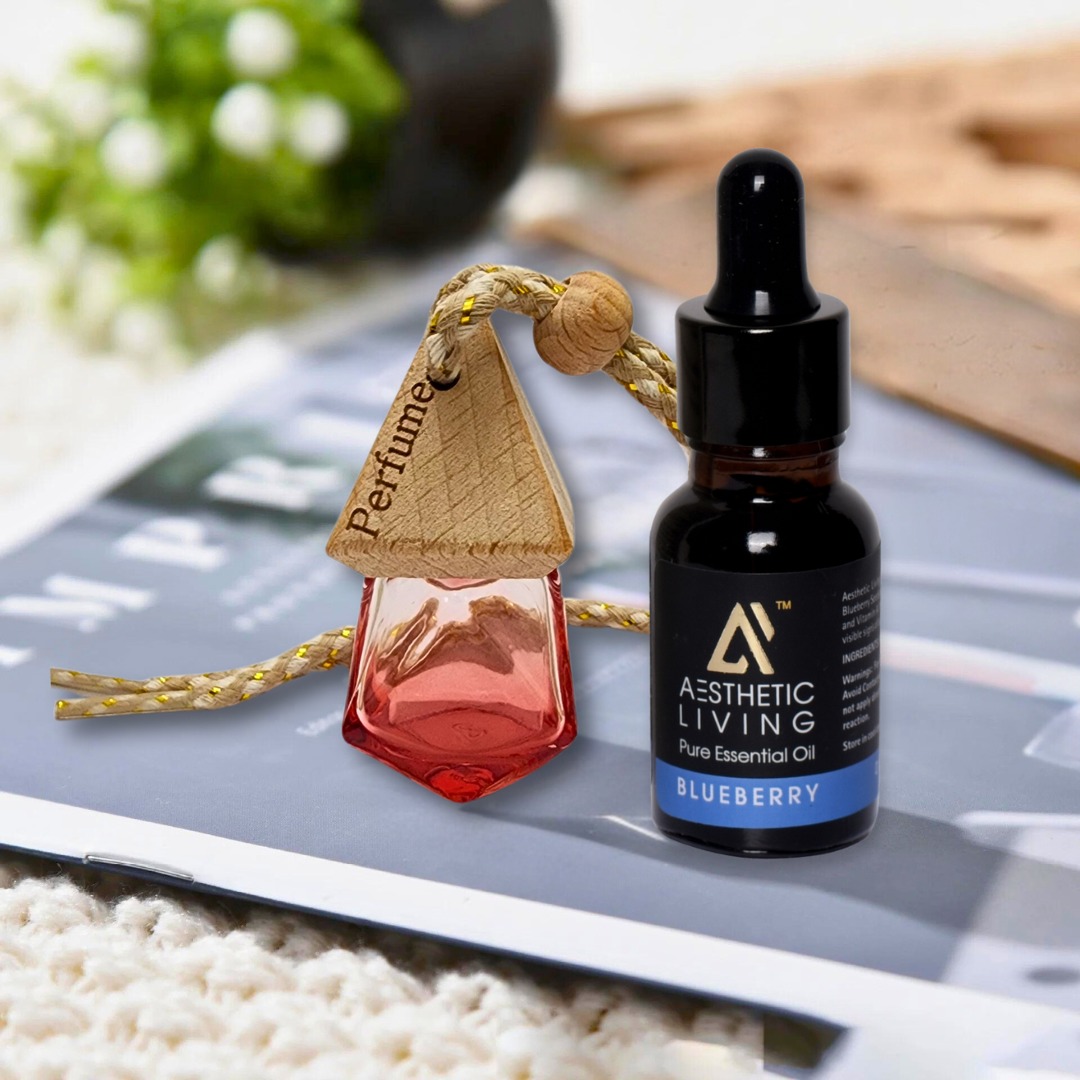 Aesthetic Living Car Aromatizer Diffuser...