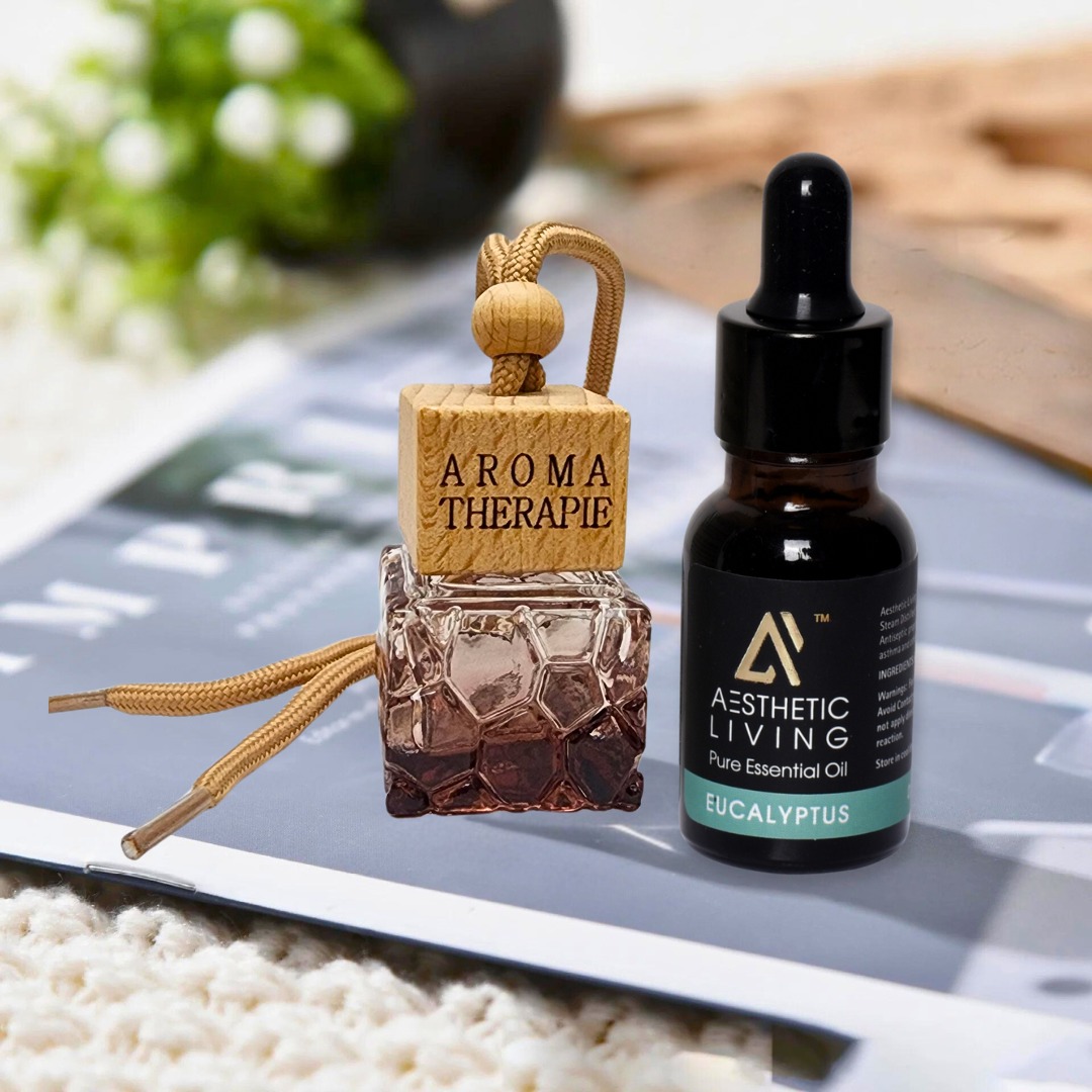 Aesthetic Living Car Aromatizer Diffuser...