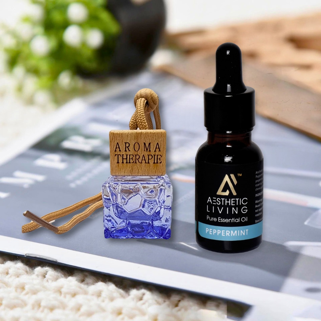 Aesthetic Living Car Aromatizer Diffuser...